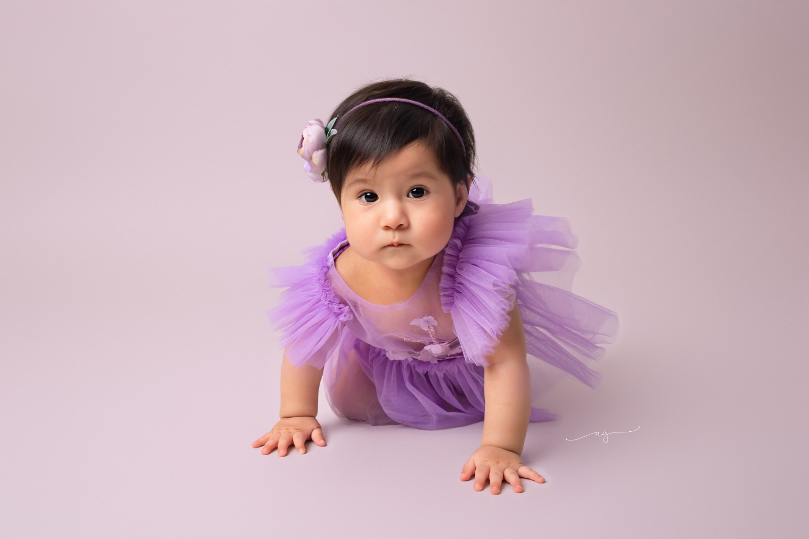 retrato bebes