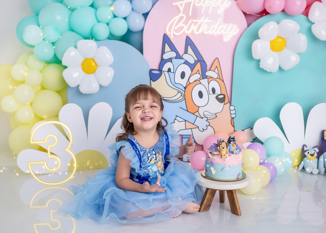 bluey, personajes, caricatura, perro azul, fiesta bluey, hermanos, familia bluey, set bluey, smash cake bluey, niños, arcoiris